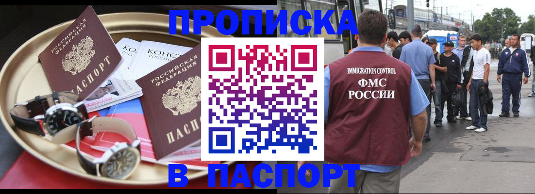 где прописаться в Пионерском